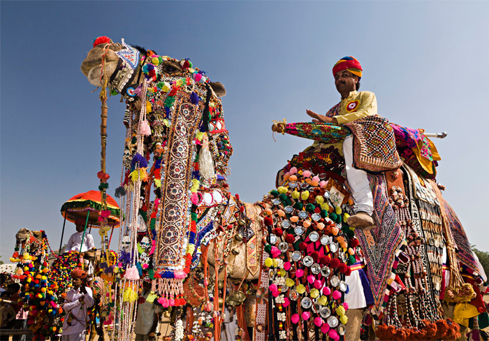 pushkar fair tour